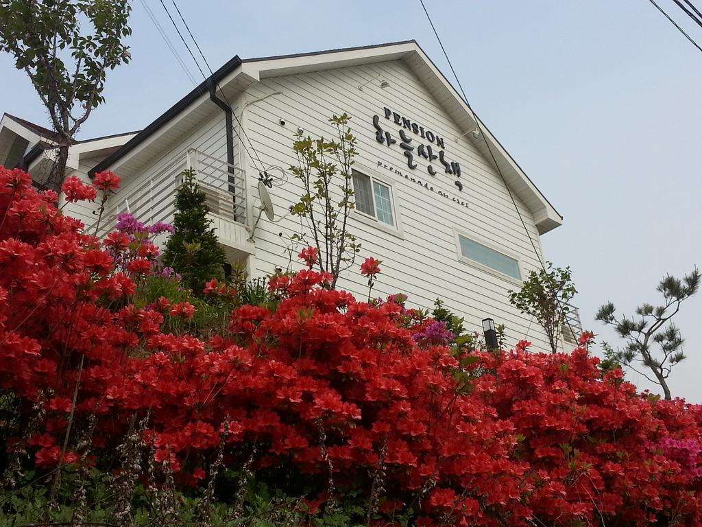 Walking Sky Pension Gapyeong Ngoại thất bức ảnh